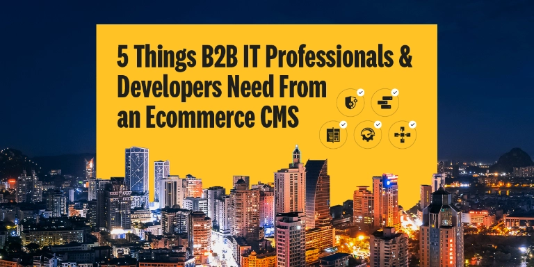 5 Things B2B IT Professionals _ Developers Need From an Ecommerce CMS 1200x628