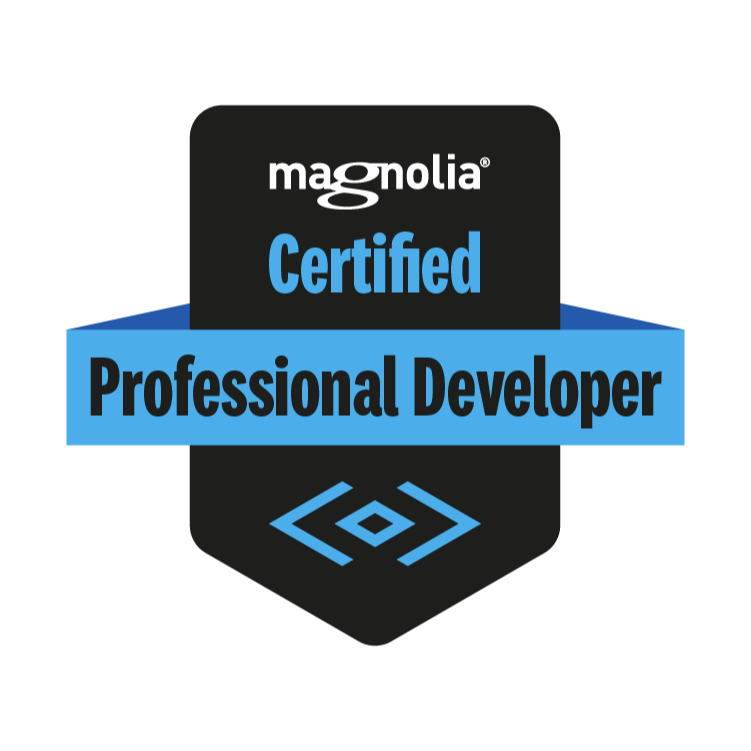 Professional Developer Certificate