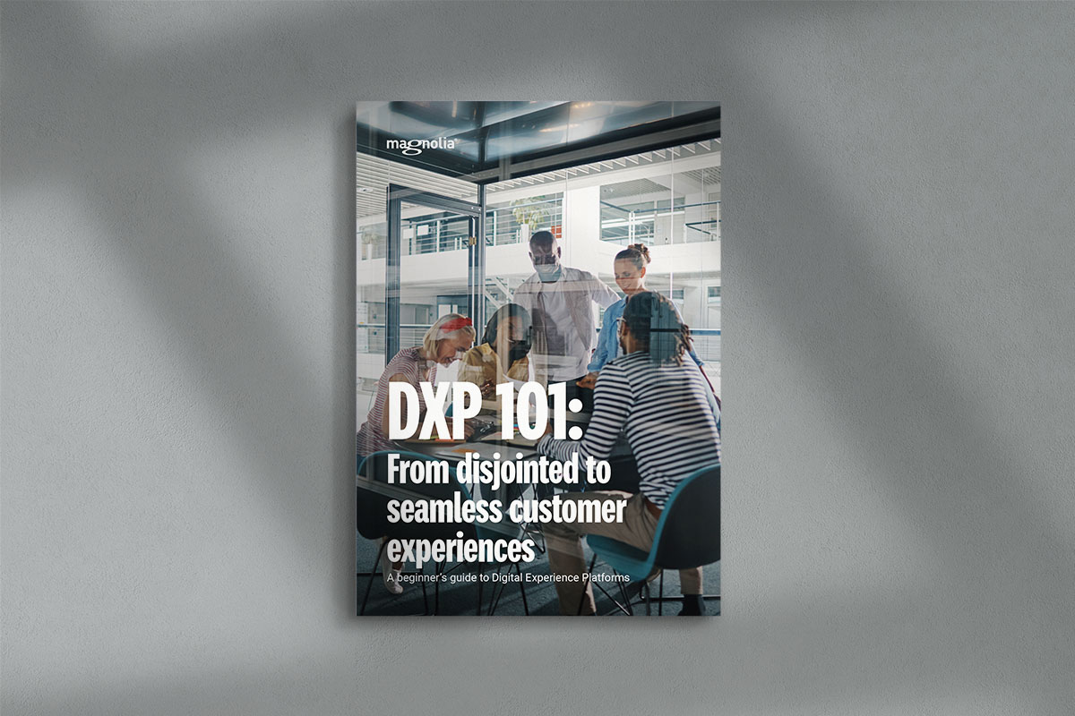 DXP 101 mockup