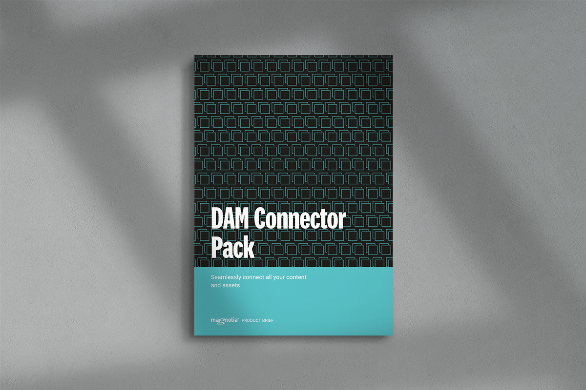 Mockup DAM Connector Pack