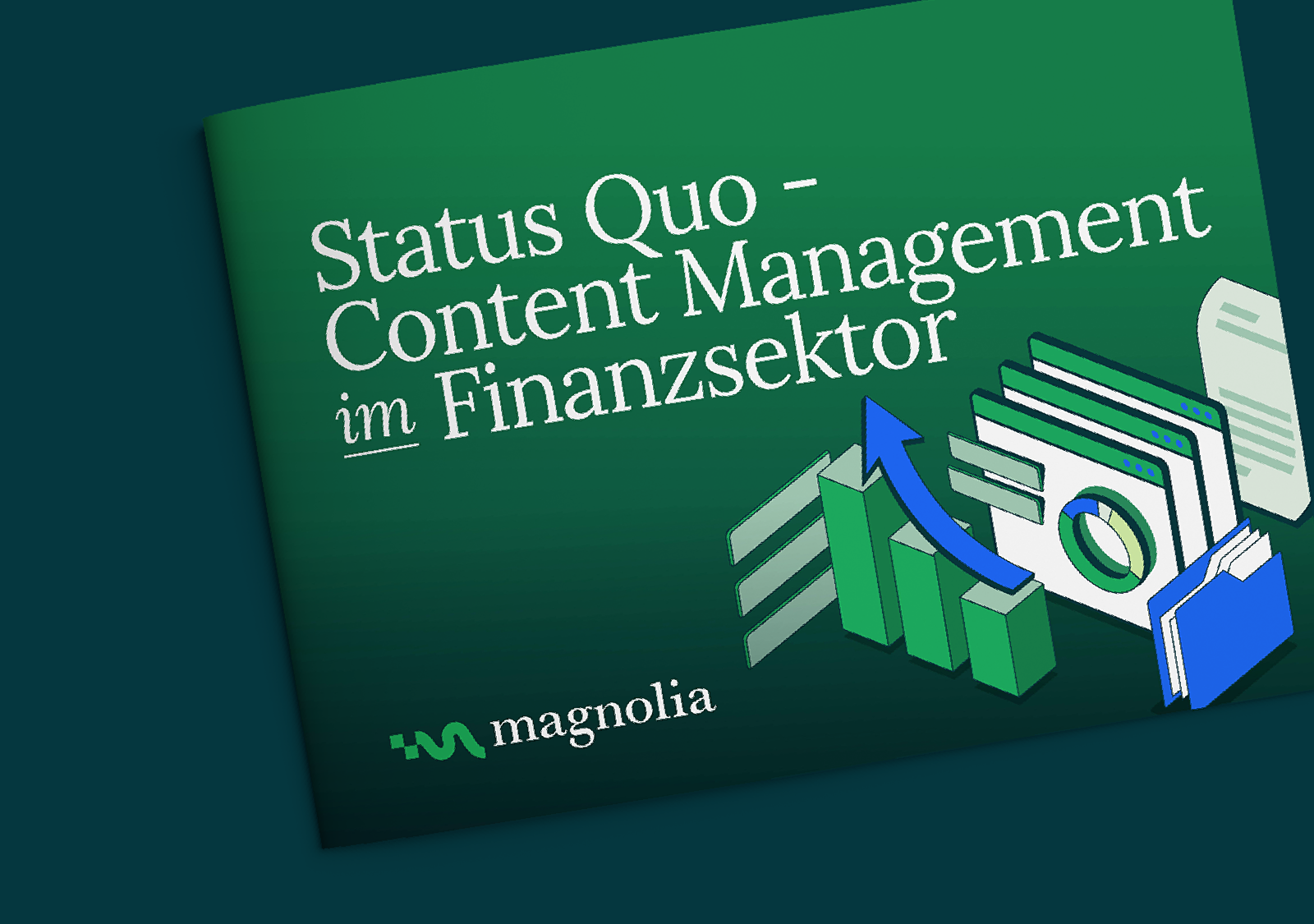 StateofCMSintheFinancialSector_Teaser - DE