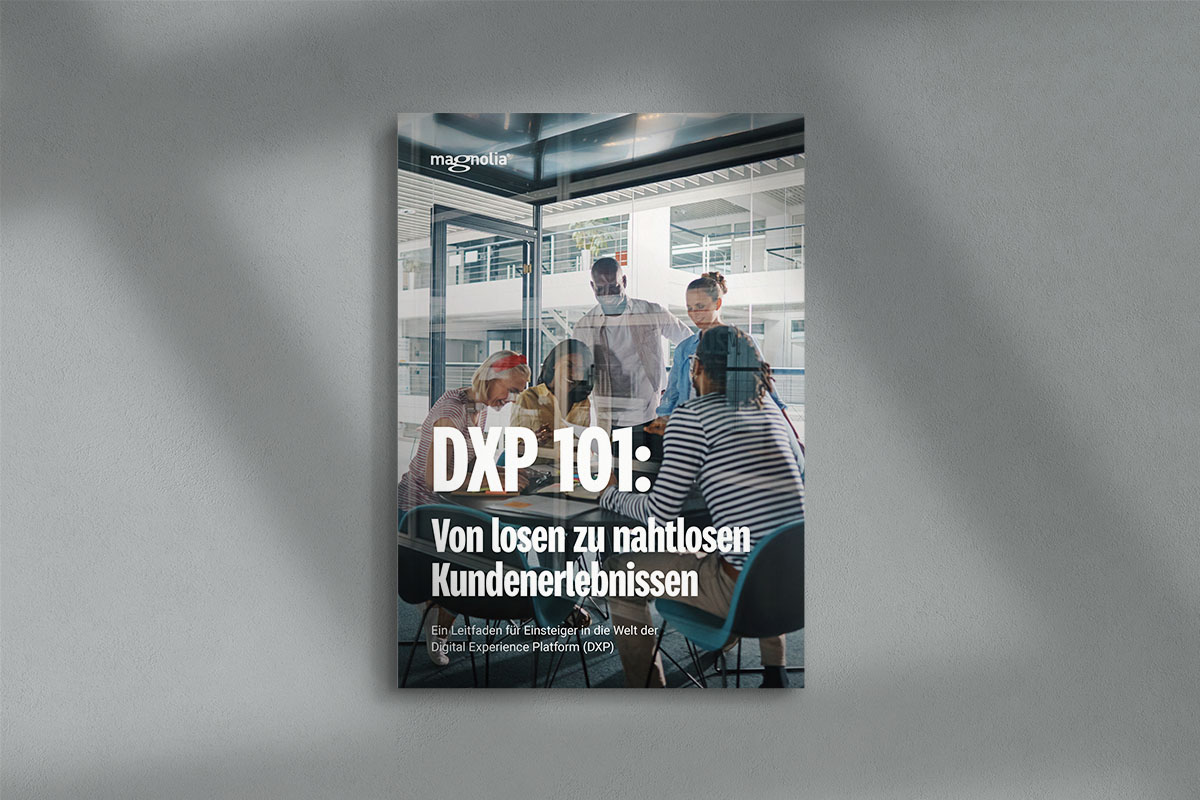 WP-DXP-101-mockup_DE