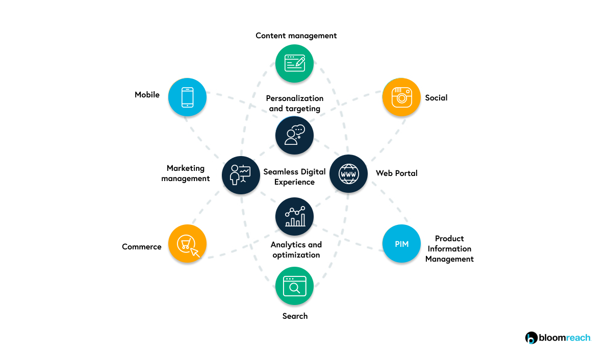 DXP network