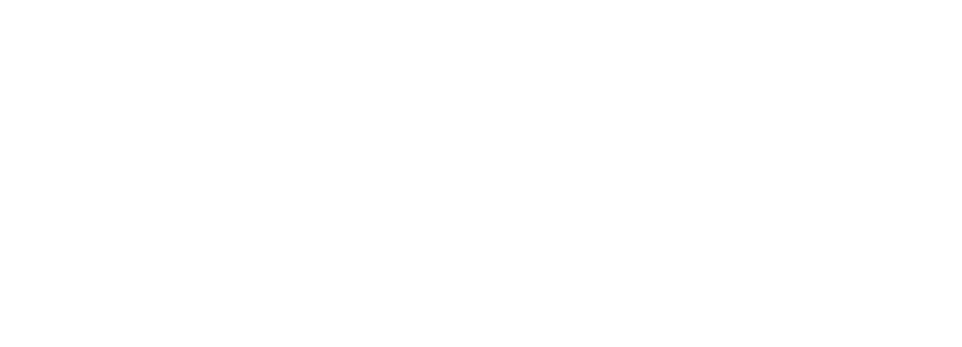 basf-logo-white-2