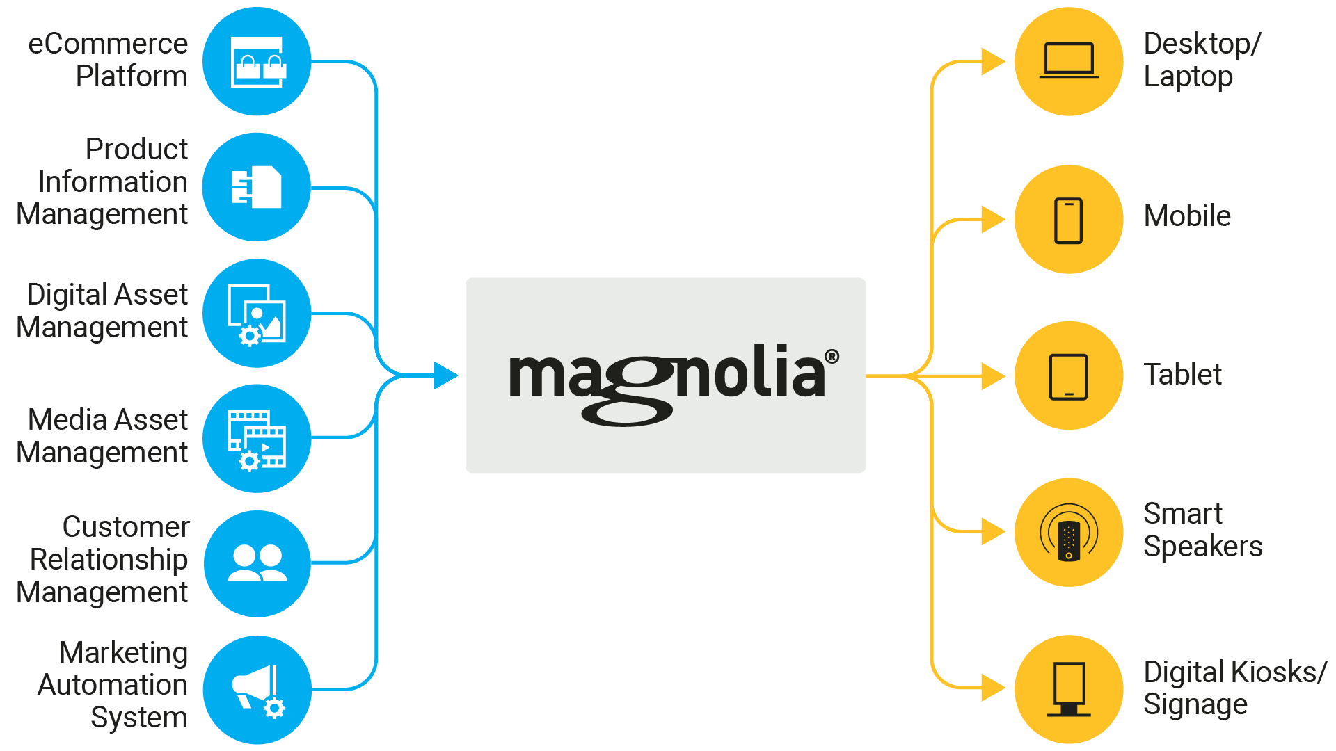 magnolia-arvato-ecommerce-integration