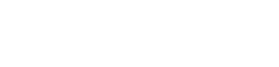 dotsource_logo-white-2