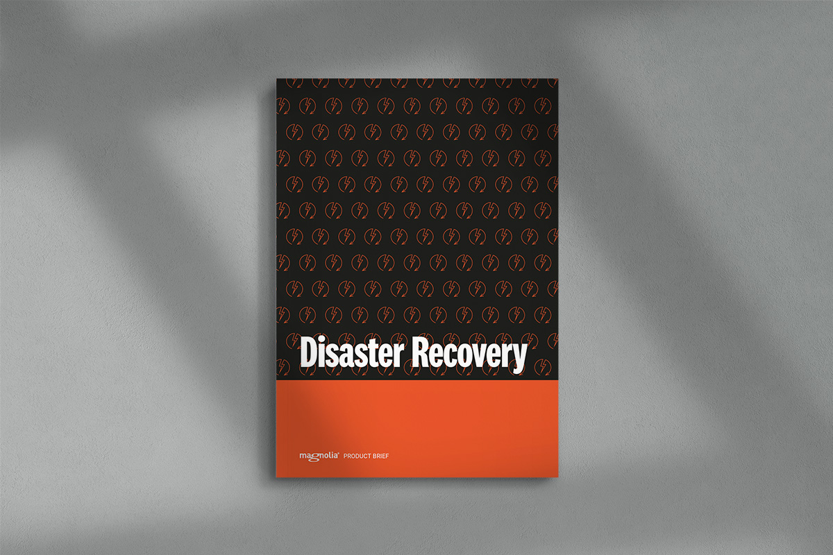 disaster recovery brief_mockup