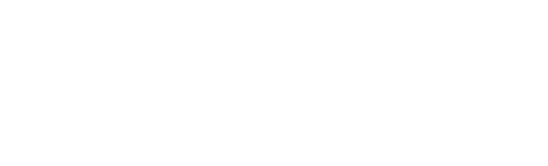 prodyna-logo-white-2