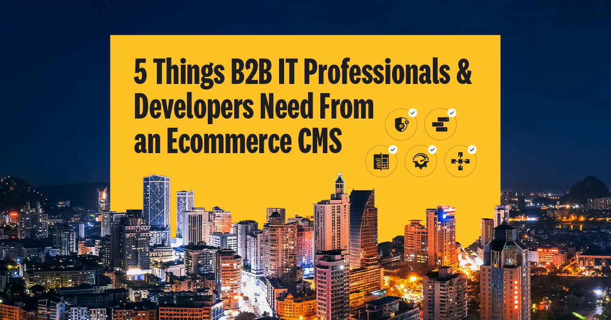 5 Things B2B IT Professionals _ Developers Need From an Ecommerce CMS 1200x628
