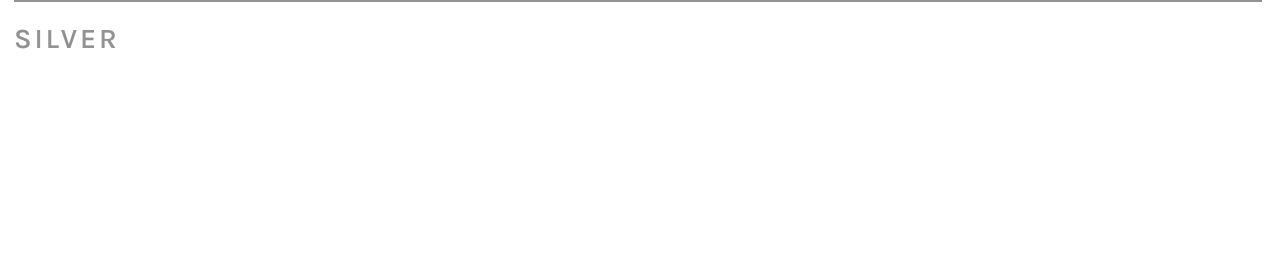 Silver_2x--1-.webp